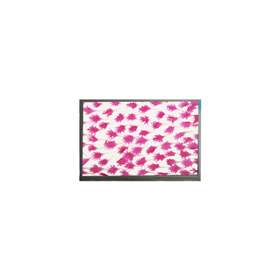 9.0 inch 800*480 LCD-scherm Display E090SWP1 R2 LCD-paneel