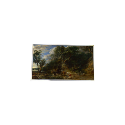 LTM340YP03-Q04 34,0 inch 3440*1440 TFT-LCD scherm