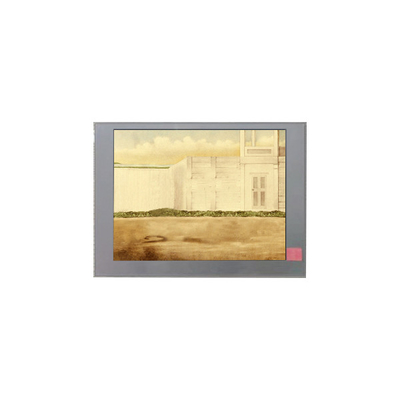 TM060JDZG01 6,0 inch LCD-displaypanelen voor handheld en PDA