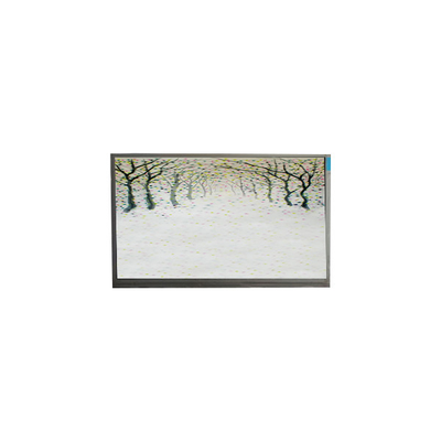 R125NWR3 R3 12,5 inch LCD-module 1366*768 lcd-scherm