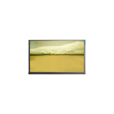 21.5 inch M215HJK-L3B LCD schermpaneel 1920*1080 LCD scherm