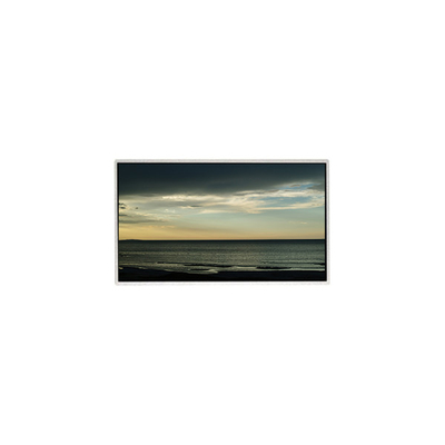 TT101WSB-NW0 LCD-paneel 10,1 inch 1024*600 LCD-display