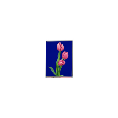 C055SWF4 R0 LCD-module 5,5 inch TFT-LCD-display