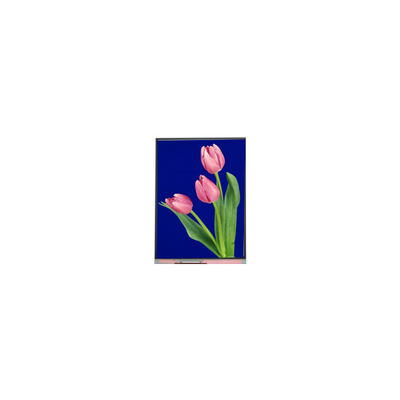 Nieuw 5,4 inch C054SWZ4-1 540*960 LCD scherm