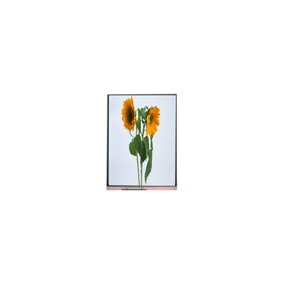 9,0 inch IVO LCD Paneel C090SWT3-0 1024*600 LCD Display Modules