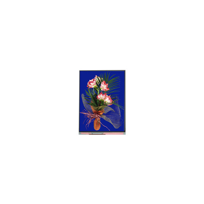 5.4 inch lcd-paneel 540*960 C054SWN1-1 lcd-displaymodule