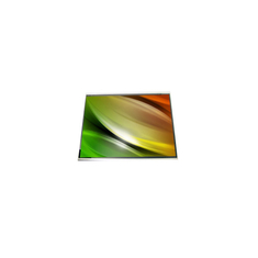 5.3 inch HSD053B8W1-B00 TFT LCD module voor mobiele telefoon