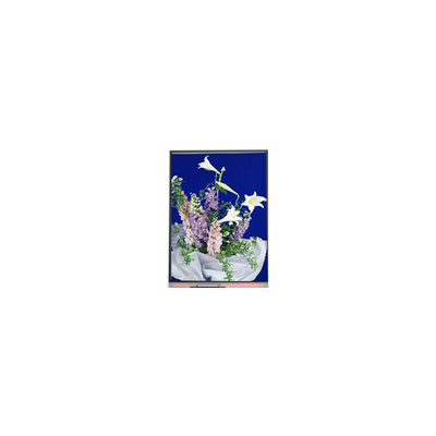 C054SWN1 R0 tft LCD-scherm Display 5,4 inch LCD-paneel
