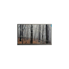 MT200LW01 V.0 20,0 inch 30 pin LCD-scherm