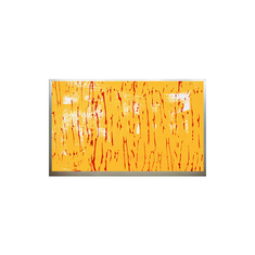 1920*1200 M260J5-L01 25,5 inch LVDS 30 pins LCD-schermmmodule