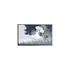 1920*1080 23,0 inch MT230DW01 V.3 60Hz LCD-scherm