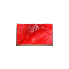 1920*1080 M216H1-L07 21,6 inch LCD-scherm