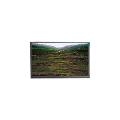 P236MWF1 R0 23,6 inch 1920*1080 LCD Paneel LVDS Module