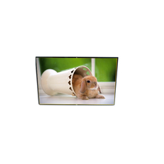 Nieuwe LP116WSA-TLA1 1024*600 11,6 inch LCD-schermmodule