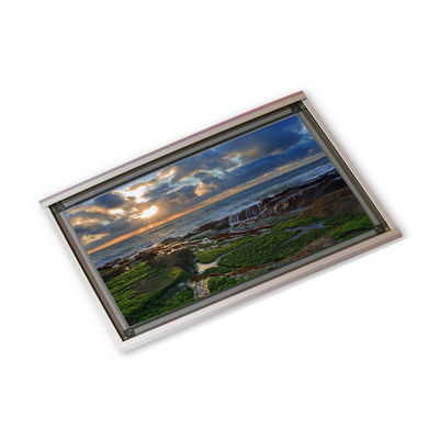 Goede prijs 9,1 de module van de duimel640.400-cd4 FRA 640*400 Gr vertoning online