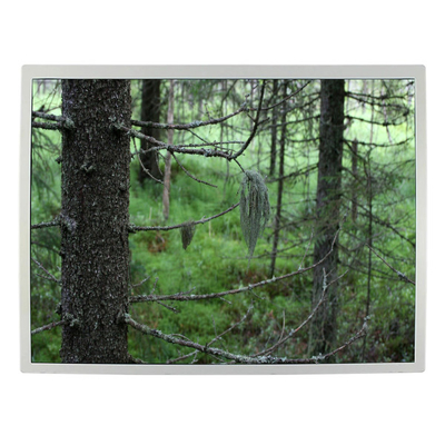 Goede prijs 12,1 de Industriële LCD TFT Vertoning van het duim82ppi lcd scherm LQ121S1LG79 online