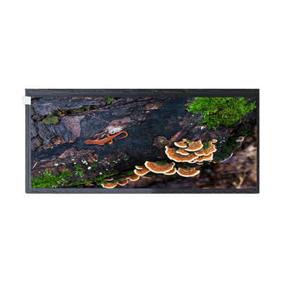 Goede prijs 12,3 duim de speldlcd van HSD123KPW2-A10 50 van het het schermpaneel de vertonings voor Automobielvertoning online