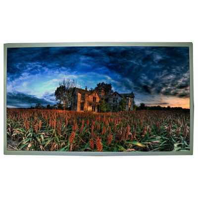 Goede prijs LCD-scherm 18,5 inch 1366*768 M185B1-L06 LCD-paneel online