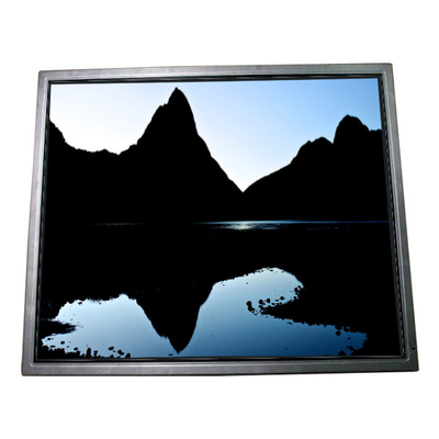 Goede prijs 19.0 inch NL128102BM29-05A TFT Medical LCD display scherm online