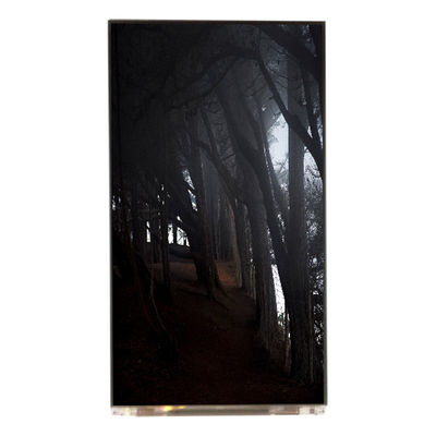 Goede prijs LQ055T3SX04 5,5 inch 1080*1920 TFT-LCD scherm online