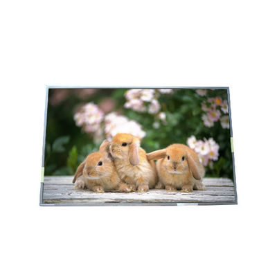 Goede prijs Originele in voorraad grootte 17,3 inch B170PW05 V1 LCD-scherm online