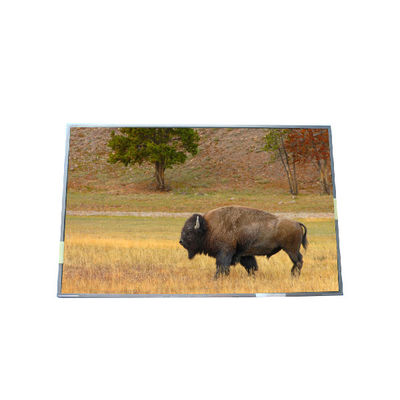 Goede prijs Levering 17,0 inch B170PW03 V5 99PPI TFT LCD-paneel online