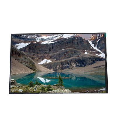 Goede prijs B101UAN07.0 10,1 inch 1000:1 1200*19202 LCD scherm online