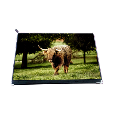 Goede prijs VVX10F002A90 10,1 inch 1000: 1 LCD-scherm display paneel online