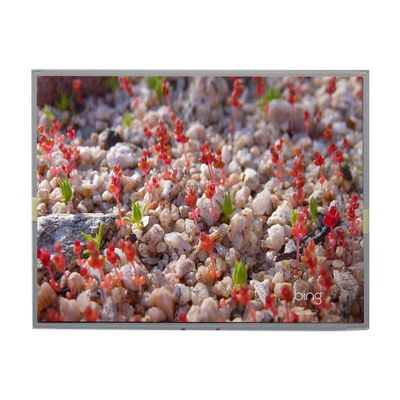 Goede prijs LM2011-SLWE01 Originele 20,1 inch 1680*1050 LCD-scherm online