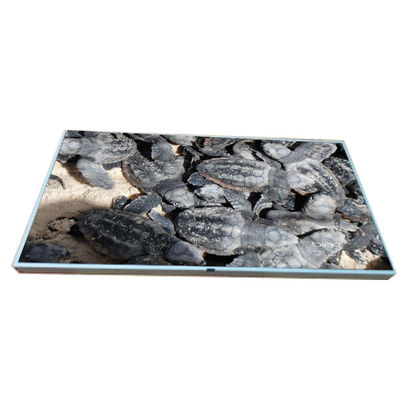 Goede prijs LM215WF2-SLA1 Originele in voorraad 21,5 inch LCD scherm online