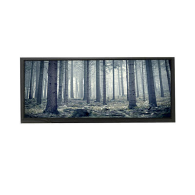 Goede prijs AV103Z7M-N13-3850 10,3 inch LCD-scherm LCD-scherm online