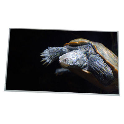 Goede prijs LM300W01-STA2 Nieuwe 30,0 inch 2560*1600 LCD-scherm online