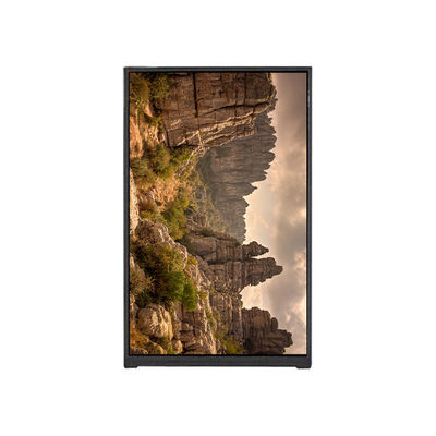 Goede prijs BP096WX2-100 9,6 inch LCD-scherm LCD Display MODULE PANEL online