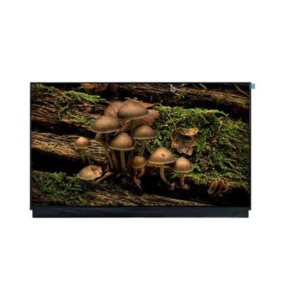Goede prijs Nieuwe DV180FHM-N10 18.0 inch 1920*1080 LCD scherm scherm online