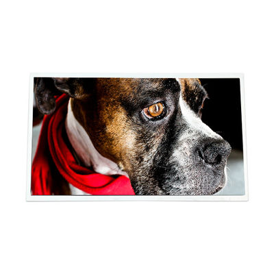 Goede prijs M170EGE-L20 Rev.C3 17,0 inch 1280*1024 12S4PWLED LCD schermpaneel online