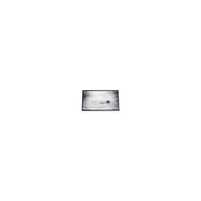 Goede prijs 640*480 3,5 inch PD035VX1 262K LCD-scherm voor projector online