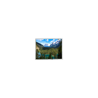 Goede prijs 800*600 PD080SX3 8,0 inch LCD-scherm voor draagbare DVD-speler online
