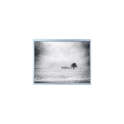 Goede prijs nieuwe PW080XU4 480*220 8,0 inch 60Hz 30 pins LCD-schermpaneel online