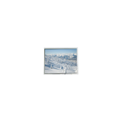 Goede prijs AM-320240NTMCW-T00H-A(R) 5,7 inch 320*240 Touch LCD-scherm online