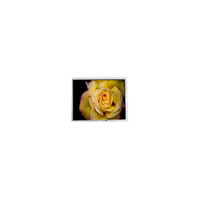 Goede prijs Nieuwe 5,7 inch AM-320240NTMQW-00H-F 320*240 LCD-scherm online
