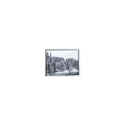Goede prijs Hot Sell 800*480 AM-800480AHTMQW-A1H 9.0 inch 30 pins LCD scherm online