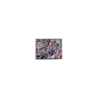 Goede prijs MiNi 5,0 inch 800*480 AM-800480N3TZQW-70H 16.7M LCD-scherm online