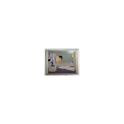 Goede prijs 800*480 5,0 inch AM-800480NATZQW-00H LCD-schermpaneel online