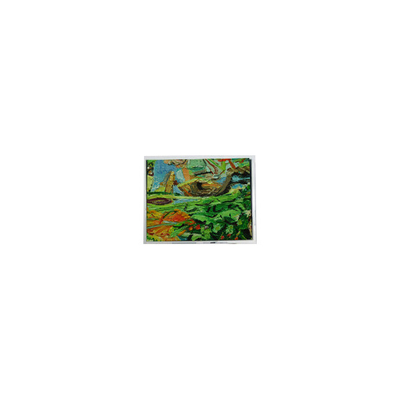 Goede prijs Originele 800*480 5,0 inch AM-800480NGTZQW-01H 45 pins WLED LCD schermpaneel online
