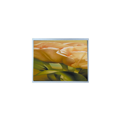 Goede prijs AM-1024600Y3TZQW-A0H 9,0 inch TFT LCD-schermpaneel Industrial online