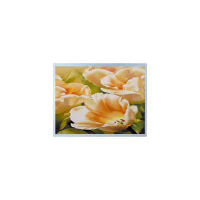 Goede prijs 1024*600 AM-1024600Y3TZQW-A1H 9,0 inch TFT 300 cd/m2 LCD schermonderdelen online