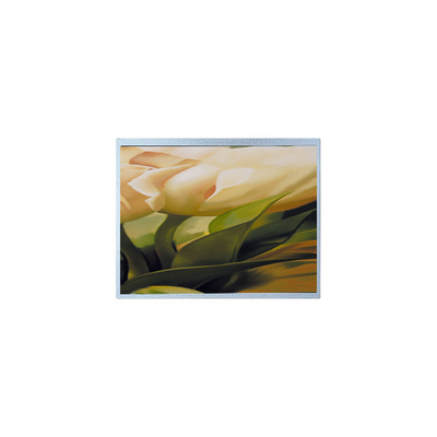 Goede prijs AM-1024600YTZQW-00H 1024*600 9,0 inch TFT 500 cd/m2 LCD schermpaneel online