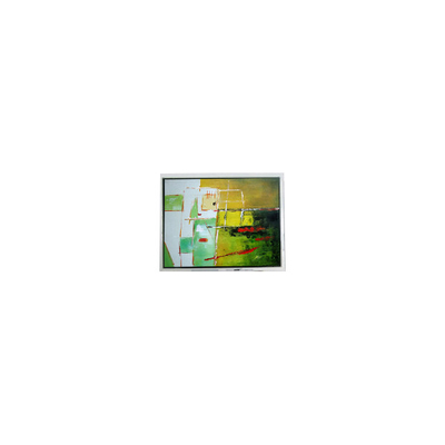 Goede prijs DMF5001NYL-ACE 160*128 4,7 inch 70Hz LCD-schermmodule online