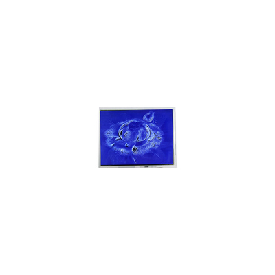 Goede prijs Originele 640*480 DMF50260NFU-FW-21 9,4 inch 70Hz LCD scherm online