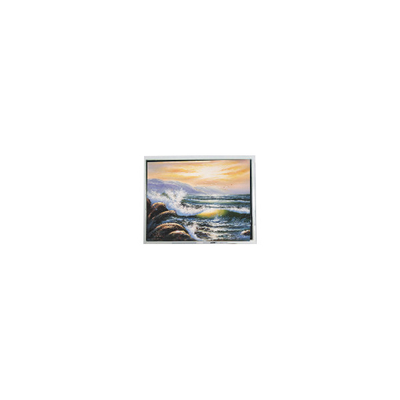 Goede prijs T-51991GD015-MLW-AIN MiNi 1,46 inch LCD-scherm voor mobiele telefoon online